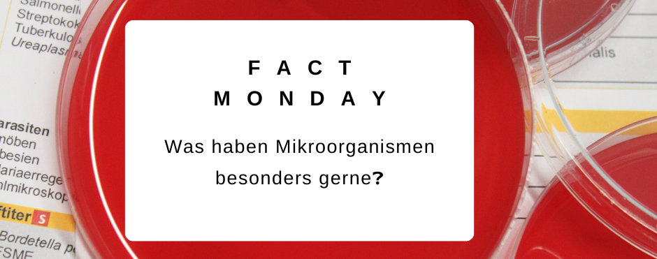 Read more about the article #Factmonday – Mikroben & Umgebung