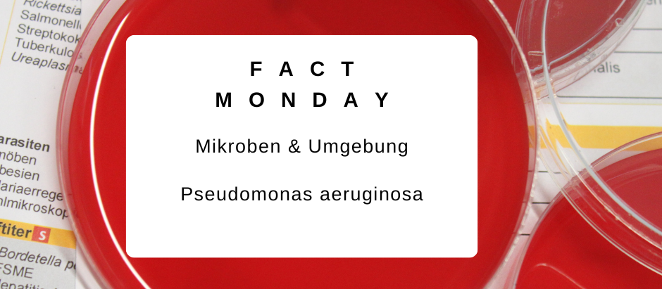 Read more about the article #Factmonday – Mikroben & Umgebung